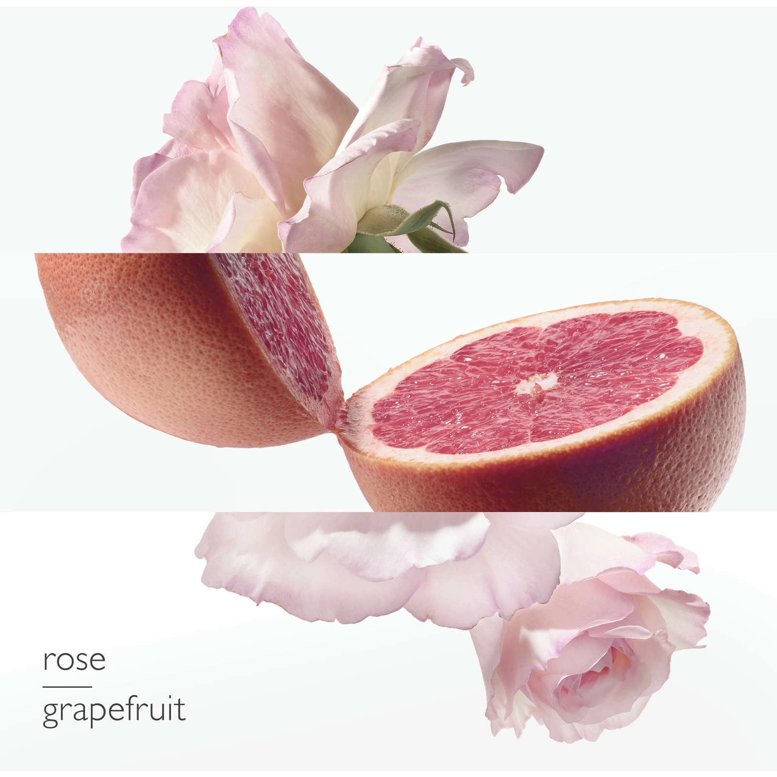 Eau de Pamplemousse Rose by Hermès - Citrus & Rose Perfume, 80% Alcohol - Iconic Lantern Bottle - Image 2