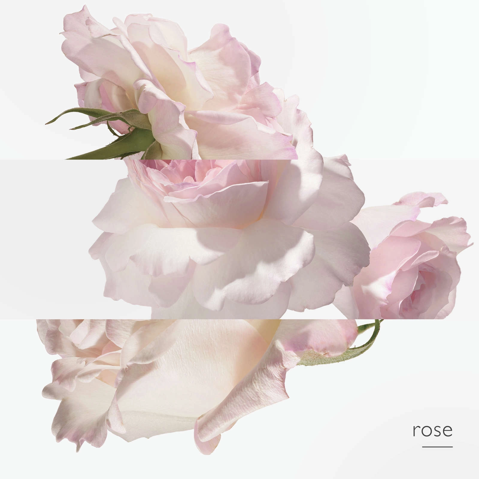 Eau de Pamplemousse Rose by Hermès - Citrus & Rose Perfume, 80% Alcohol - Iconic Lantern Bottle - Image 4
