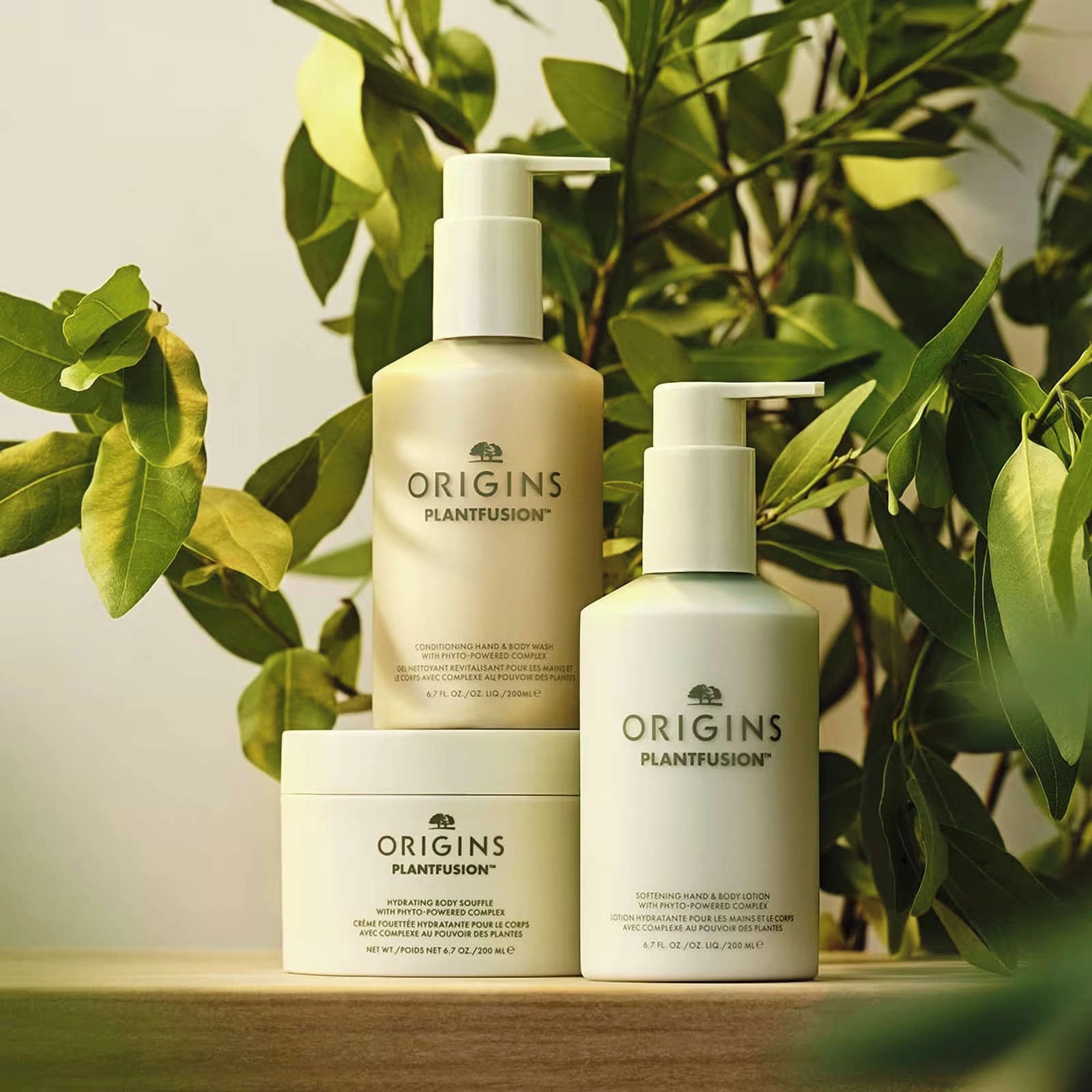 Phyto-Powered Hand & Body Wash with Jasmine, Cardamom & Grapefruit - Non-Drying Formula - Image 5
