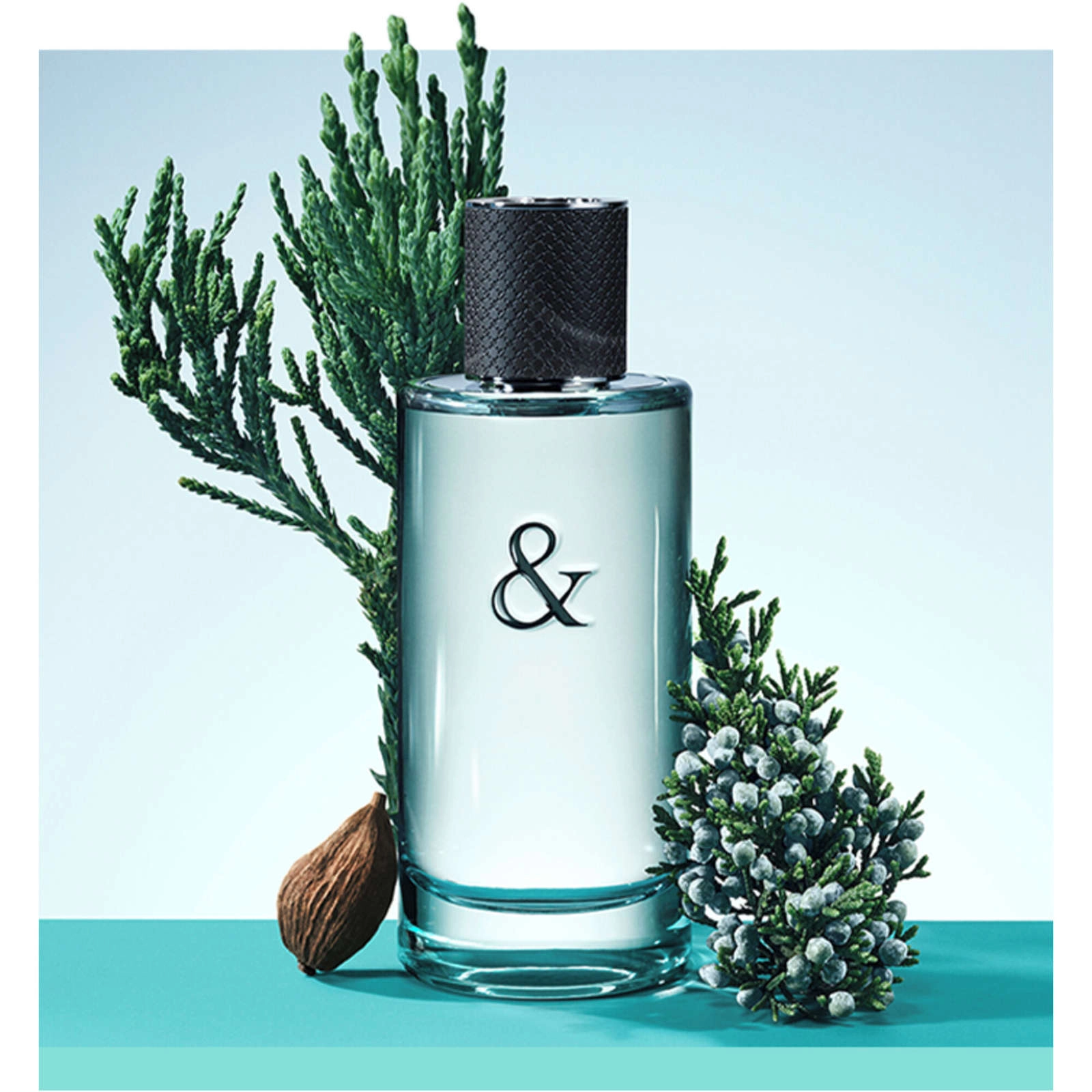 Tiffany & Love Eau de Toilette for Him - Citrus & Woody Fragrance with Blue Sequoia, 3.4 oz - Image 3