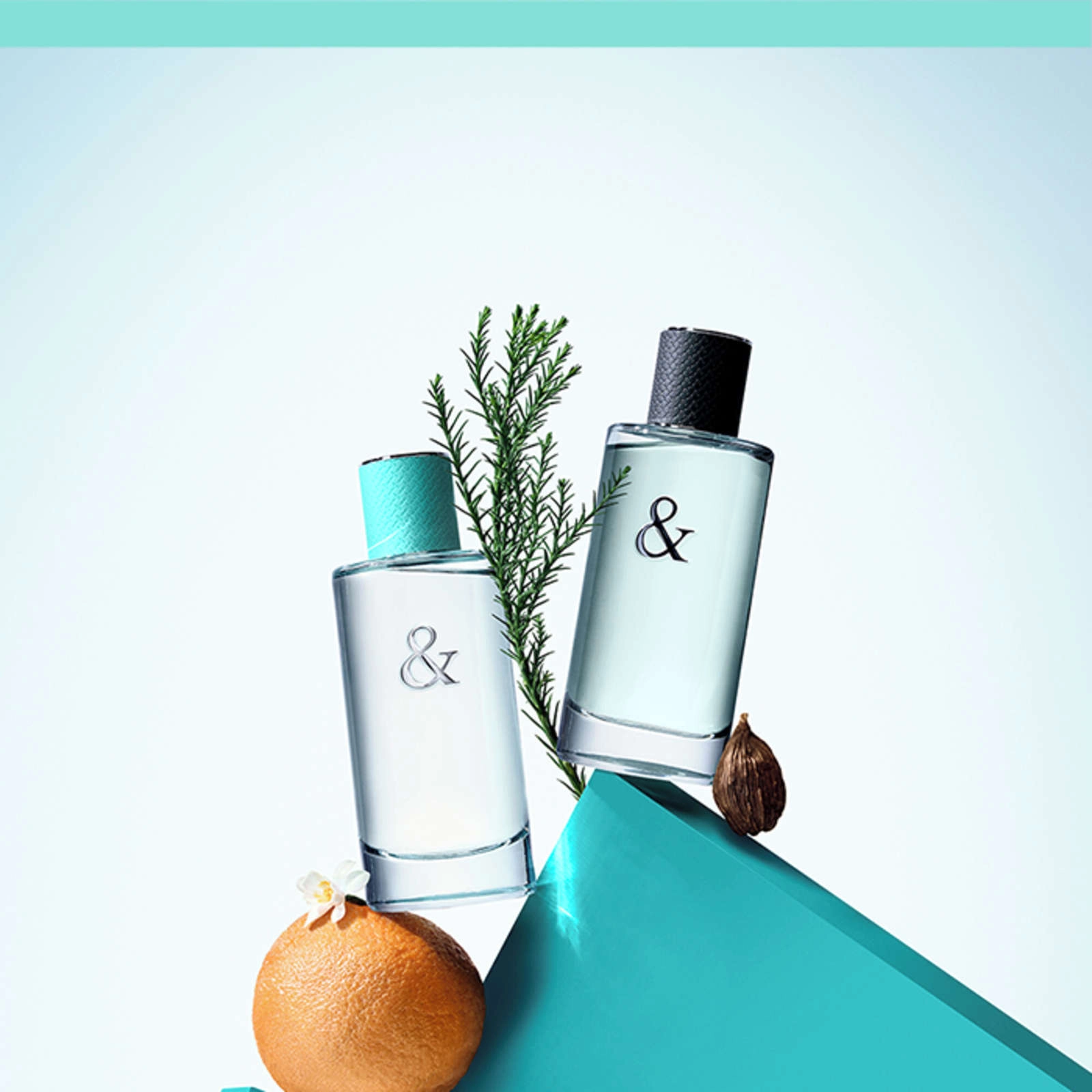Tiffany & Love Eau de Toilette for Him - Citrus & Woody Fragrance with Blue Sequoia, 3.4 oz - Image 4