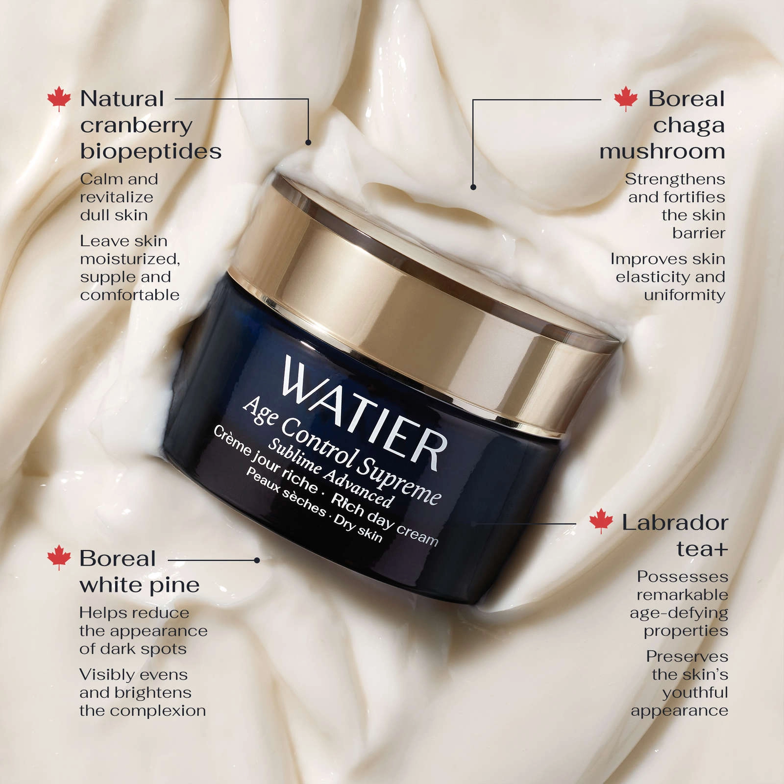 Watier Age Control Supreme Sublime Advanced Rich Day Cream for Dry Skin - Anti-Aging Moisturizer - Image 3