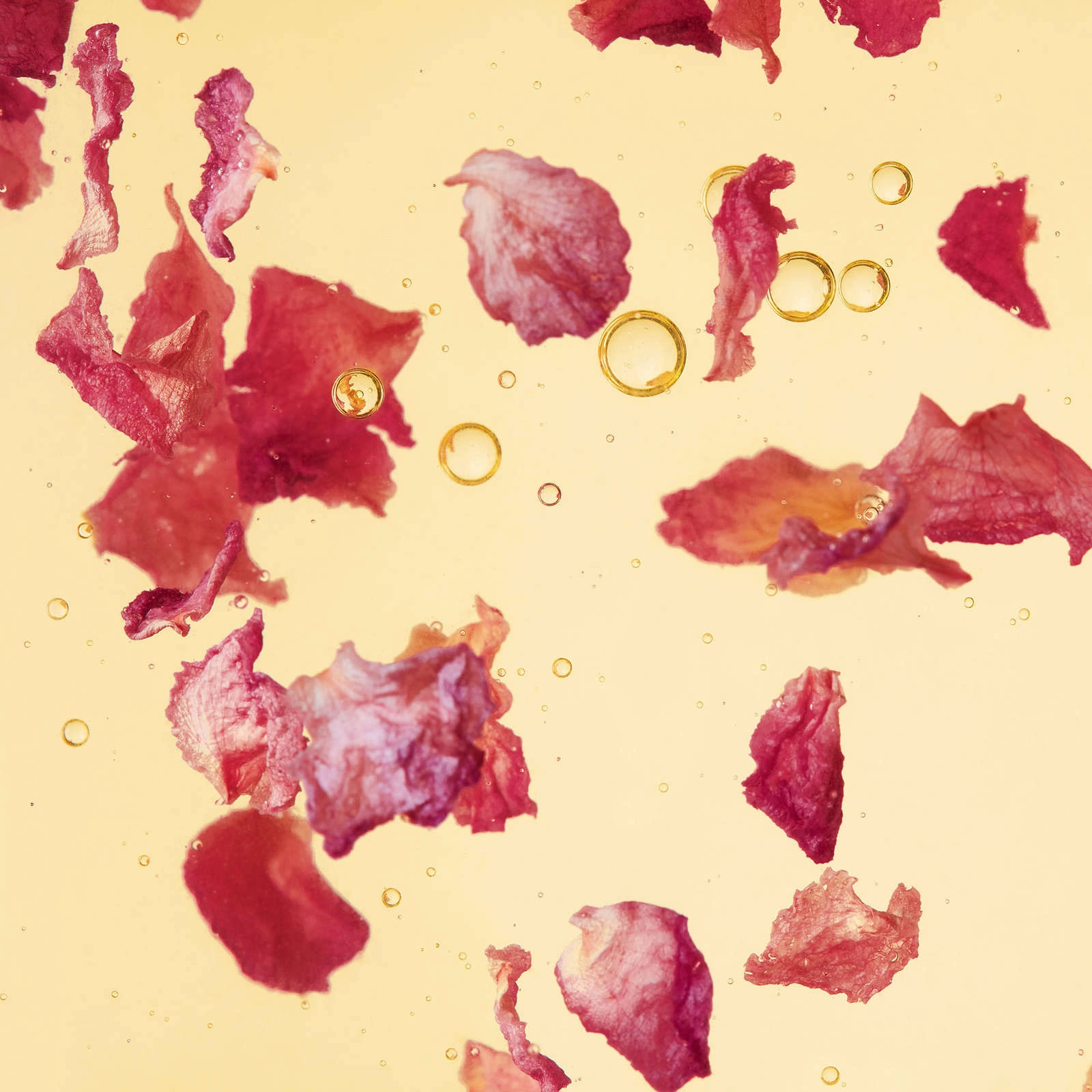 Yves Rocher Rose Oleo Infusion for Dry Skin - Silky Oil Texture, Nourishing, Reduces Wrinkles - Image 5